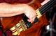 Tony Stefanelli's hands