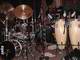 CAT'S A BEAR's Drums and Congas